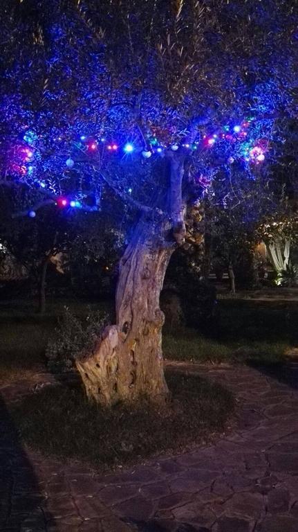 شقة Al Vecchio Pozzo Campobello di Licata المظهر الخارجي الصورة